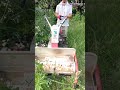 ハンマーモアで背丈のある草をバサバサ草刈り
