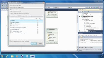Silverlight 4: Silverlight and WCF RIA Services