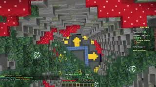 hypixel dropper world record 28.788 (FORMER)