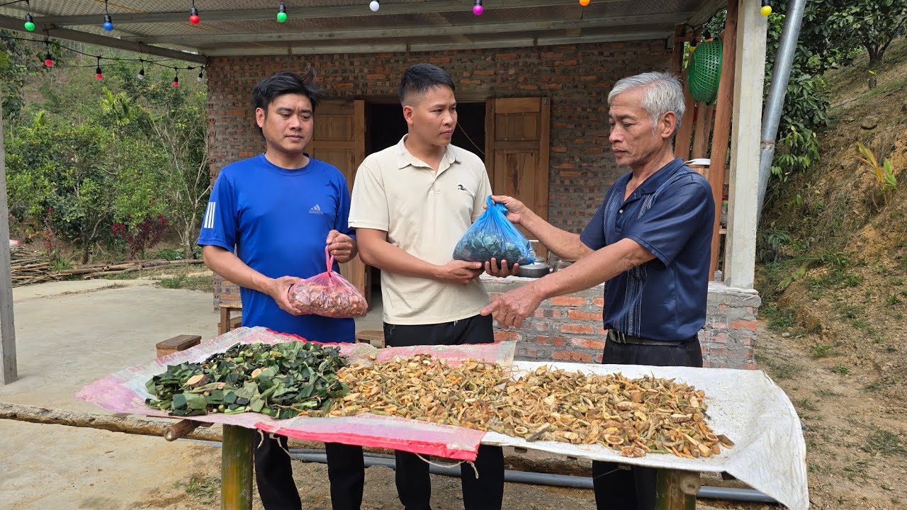 Бездомный старик взбирался на горы и переходил ручьи, чтобы собрать целебные травы для спасения люде