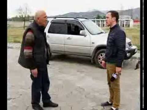 უპატრონო ძაღლებს მკურნალობის შემდეგ ისევ ქუჩაში უშვებენ