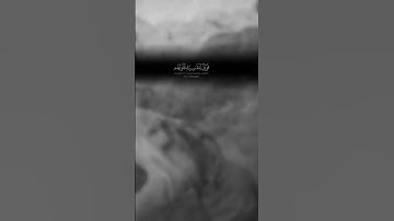 ستوريات دينيه /🌱/أفمن شرح الله صدره للإسلام /🌱/حالات واتس آب قرآن/آيات قرانية قصيرة/ستوريات انستقرام