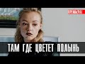 Там где цветет полынь 1-6 (2023) Триллер // Кион // Анонс