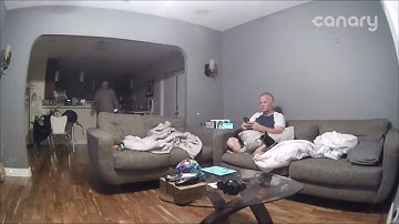 oh no our table its broken but with the dog breaking table video