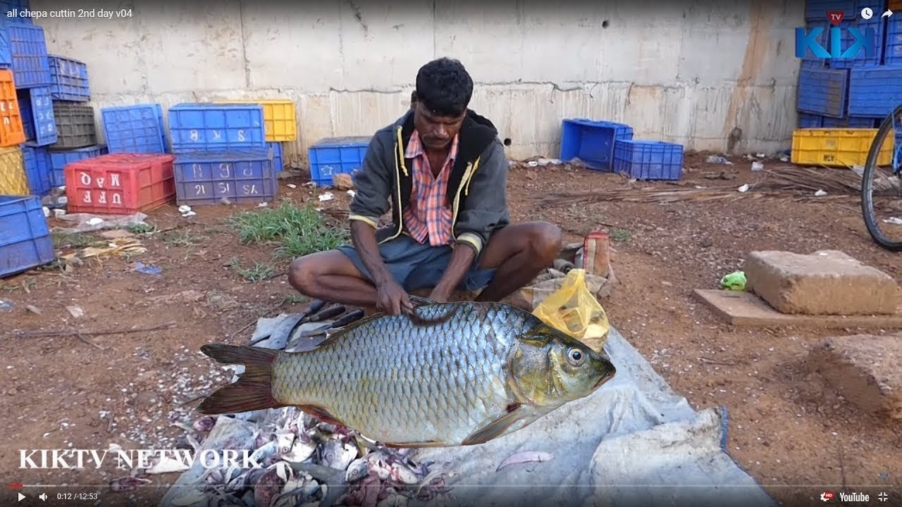 Indian Fish market   Kiktv Street Food | KikTV Network