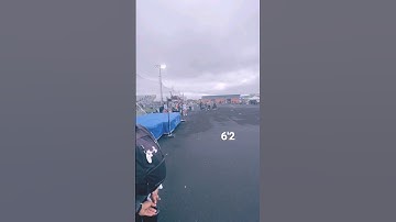 High Jump 6-step Meet #jump #trackandfield #athletics #highjump #track