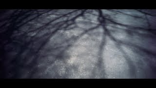 Pinwide 4K Demo 2 - 11mm Pinhole Lens + Sony A7S II