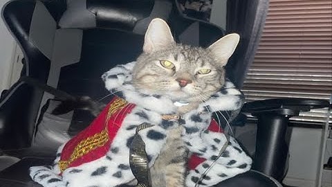 Sabaton Random Images for when you were chosen by Heaven