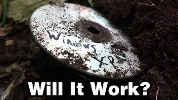 This Disk Has Been Buried For a Year...