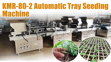 New-type KMR-80-2 nursery seedling machine for vegetable seeds sowing | Automatic seeding machine