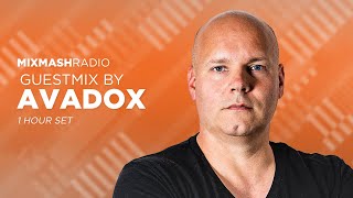 Laidback Luke Presents: AVADOX Guestmix | Mixmash Radio #338
