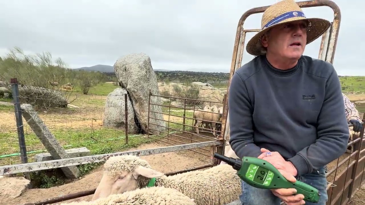 Día de vacunación de lengua azul y lectura 