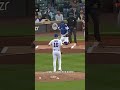 The Goose is Loose