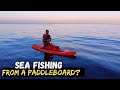 Fishing from a paddleboard paddleco fusion 11ft sup first look