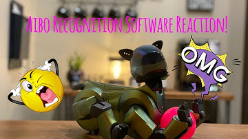 Aibo Recognition Software Reaction