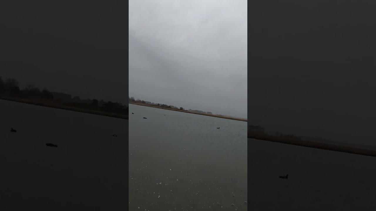 Back when the limit was two brant 