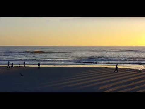 Caméra de surf sur la plage de Jacksonville Diffusion en direct