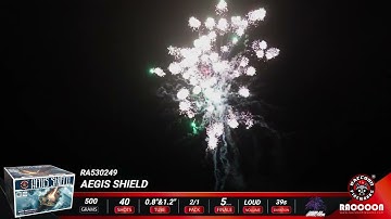 RA530249 Aegis Shield Raccoon 2025 New 500G Cake 40 Shots