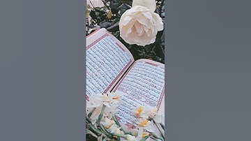 #مقاطع_اسلاميه تلاوة من القارئ محمد الفقيه #دينيه #quran أحب صوته📿🌻