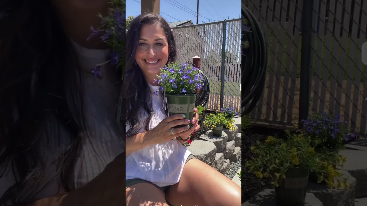 This Blue Lobelia has stolen my heart.  Planting this in a full sun container. Stay tuned…💙💛💚