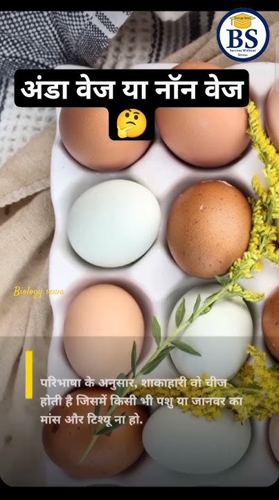 do-you-know-egg-is-veg-or-non-veg