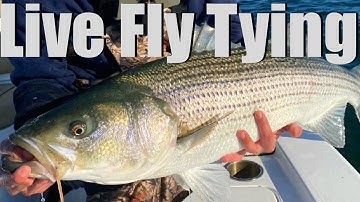 Live Fly Tying- Tying Saltwater Flies & Chatting