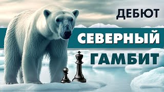 Если гамбит - то Северный! Соперник будет плакать.