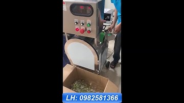 Máy cắt lát quả nhàu, máy cắt rau củ quả công suất lớn, máy cắt rau củ quả dạng băng tải