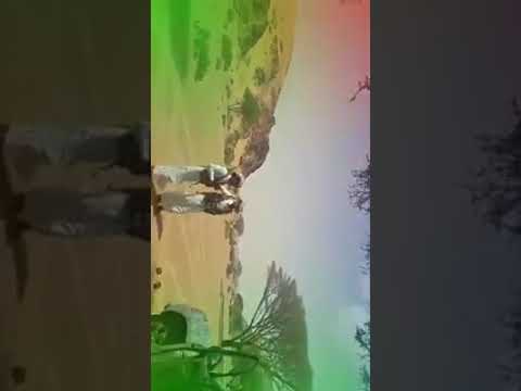 سدكم سدكم سعبنا يادهم