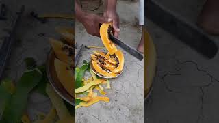 पपीता papaya @Loserfruitpapaya benefits, papaya seeds. how to eat a papaya