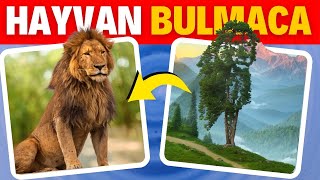 Gizli Hayvanı Keşfet - Hayvan Bulmaca Oyunu