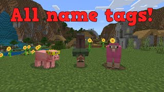 All special name tags in minecraft