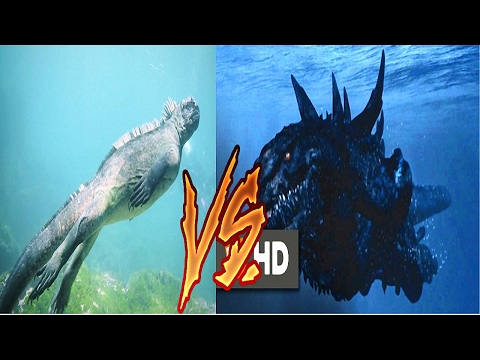 Video: Galapagose Saartelt Leitud Humanoidne Godzilla - Inimese Suurune - Alternatiivvaade