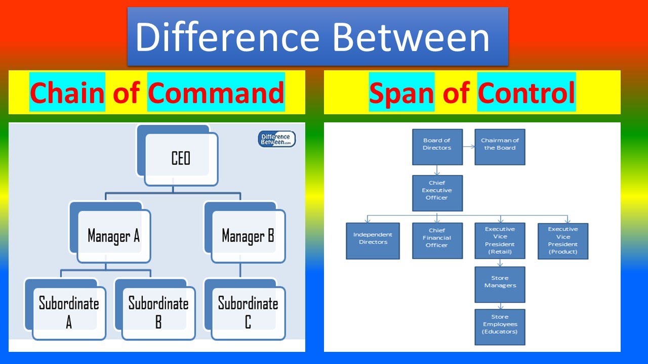 Types of control system. The chain of command. span of control. orgvue span of control. types of the span of control.