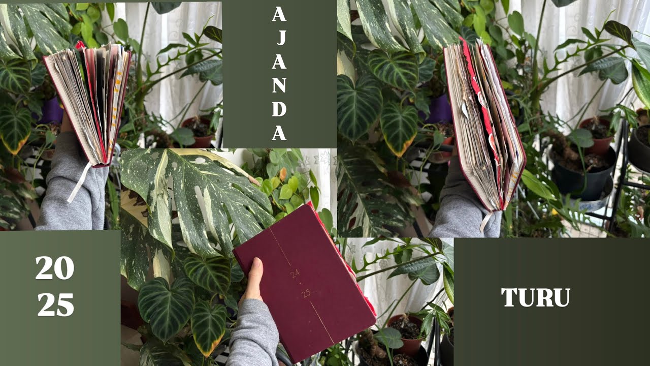 2025 ajanda turu🪷