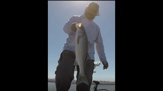 Brand new spot!  Found a couple of nice Stripers. California Delta Striped Bass / Striper Fishing.