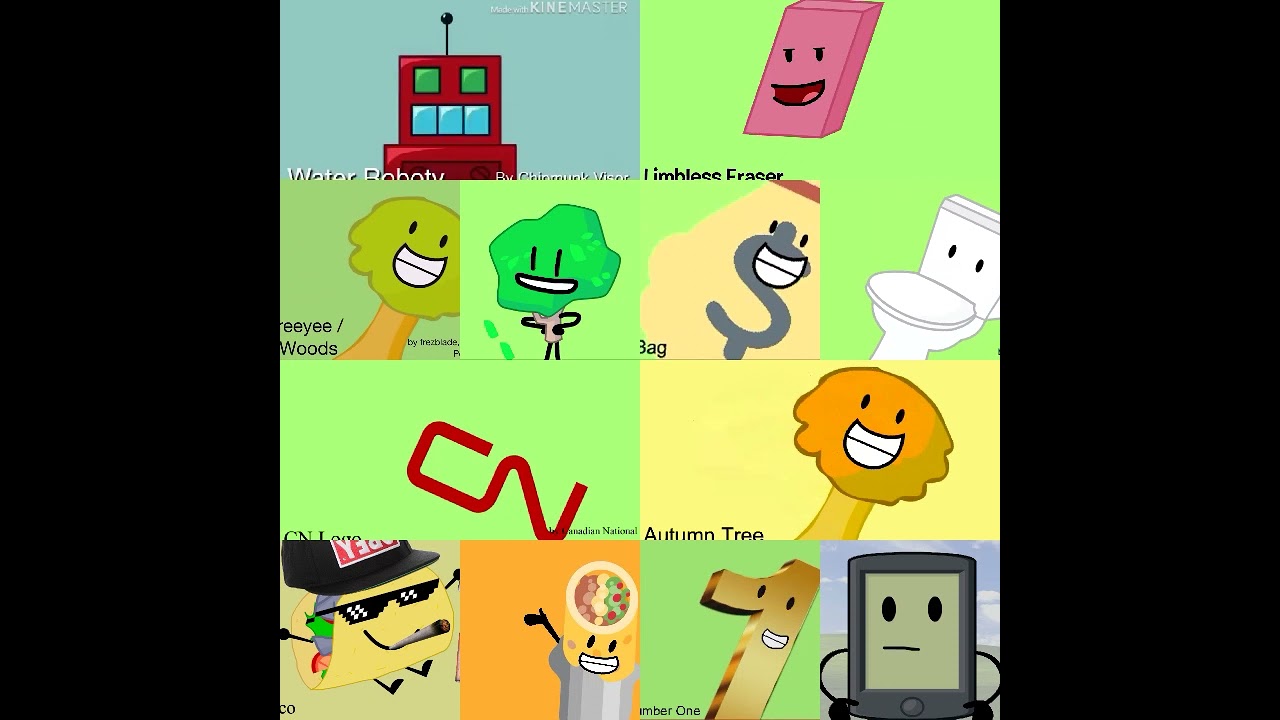 12 BFDI Auditions