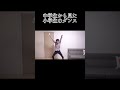 視点の違い #セイキン #はじめしゃちょー