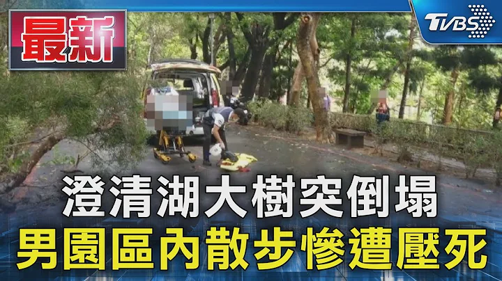 澄清湖大树突倒塌 男园区内散步惨遭压死｜TVBS新闻 @TVBSNEWS01 - 天天要闻