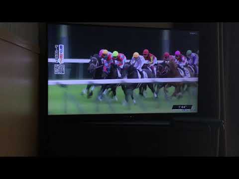 日本ダービー　2020