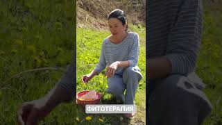 МАРМЕЛАДНОЕ ВАРЕНЬЕ ИЗ ОДУВАНЧИКОВ