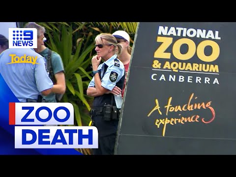 Canberra zoo employee found dead | 9 news australia