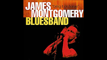 JAMES MONTGOMERY BLUES BAND (Detroit, Michigan, U.S.A) - Lovin' Cup