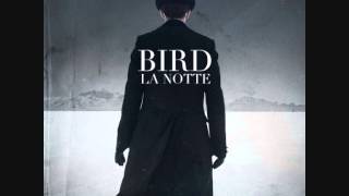 Video thumbnail of "Bird - La Notte Intro"