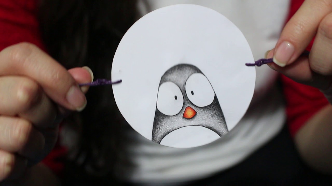 Taumatropo Pingüino