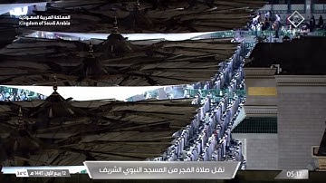 "سورة الحجرات كاملة" فجرية بآداء خاشع لشيخ احمد بن طالب | ١٢-٣-١٤٤٥