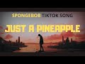 [ LYRICS ] - Just A Pineapple - Spongebob - TIKTOK VERSION