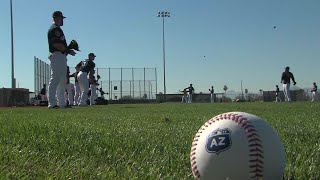 Spring Training postponed; fans react to the news