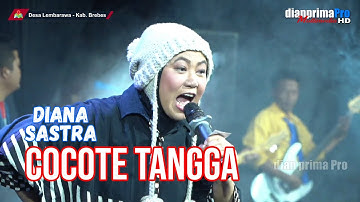COCOTE TANGGA || DIANA SASTRA (LIVE MUSIC OFFICIAL) DIAN PRIMA
