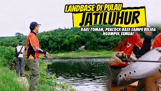 JADI SARANG IKAN INVASIF UTAMA KAMI BANTU MEMBERSIHKANNYA! DARI PEACOCK BASS SAMPE BELIDA KENA SEMUA